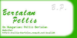 bertalan pellis business card